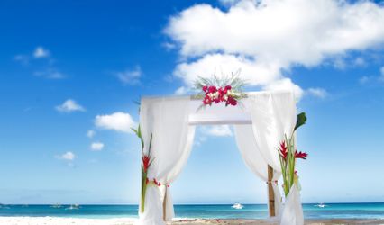 Passion & Paradise Travel Ltd