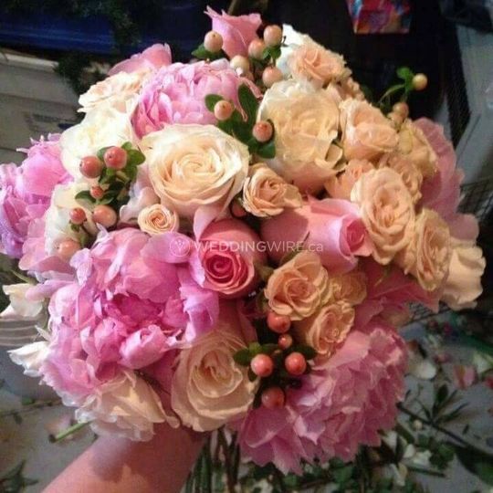Brilliant Blooms