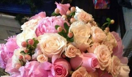 Brilliant Blooms