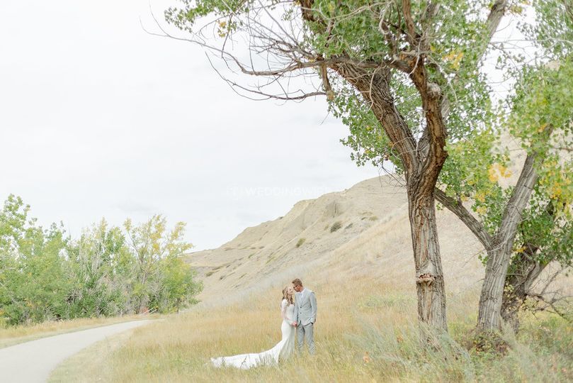 Neta Friesen Photography