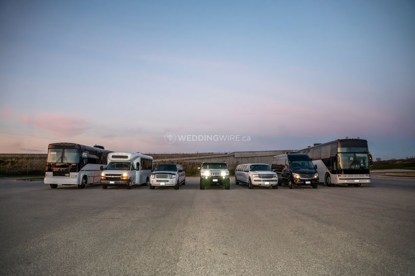 Vista Limo Rental