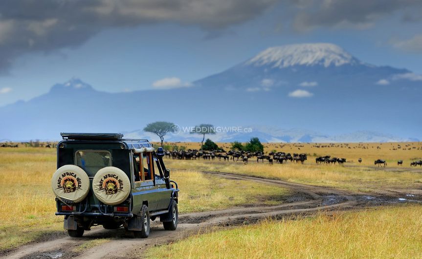 East Africa Wild Adventures