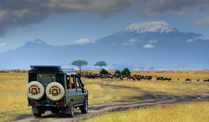 East Africa Wild Adventures