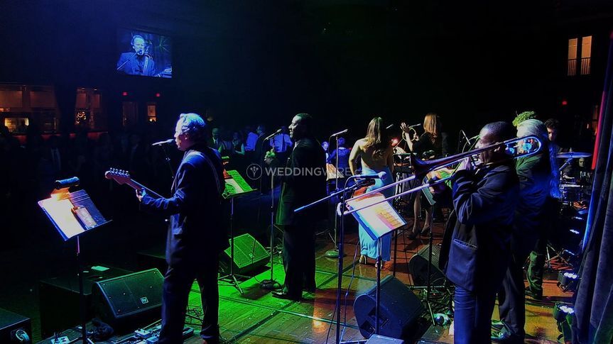 The Michael Vieira Band