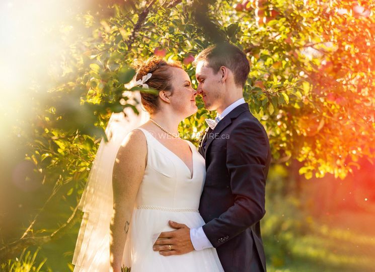 Mary Ann Wamboldt Photography