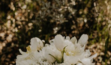 Boho Flower Co.
