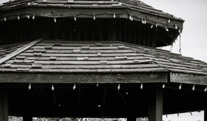 Marcus McPhee Photography