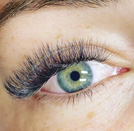 Wink + Co - Lashes/Brows