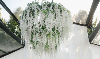 Cassava Events & Rentals