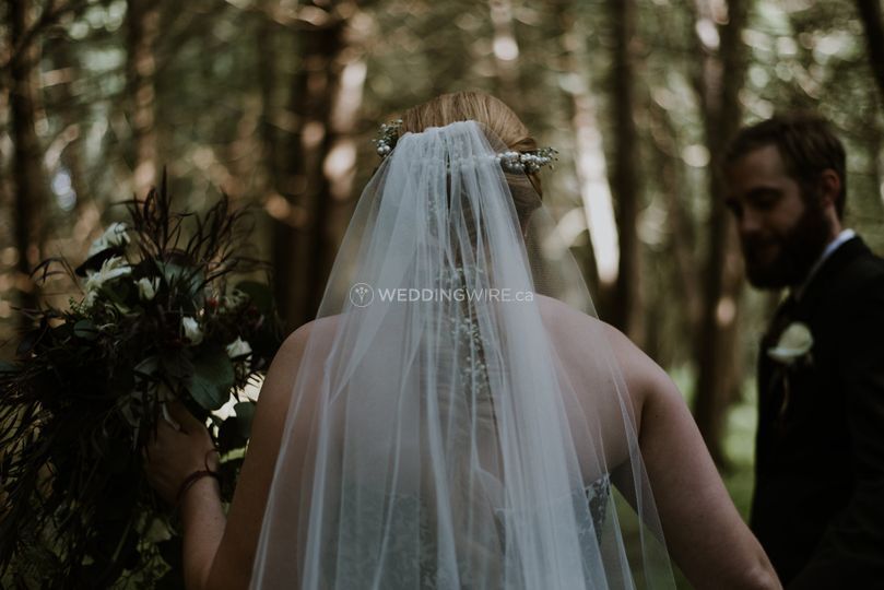 Molly Brownson Photography