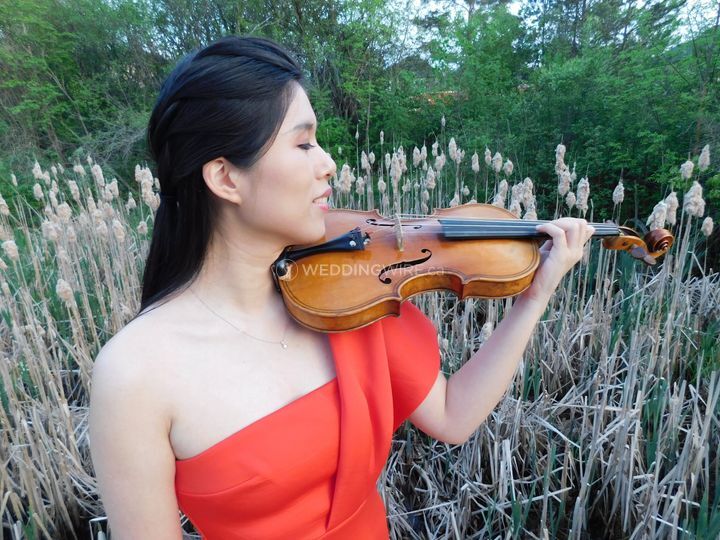 Kate Luo Violin