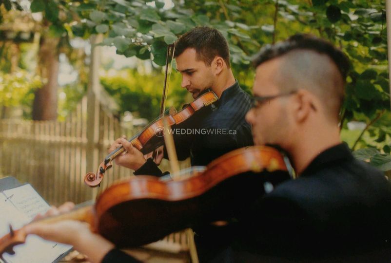 The Jonathan Blaak Group