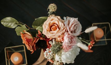 Molly Jane Photography