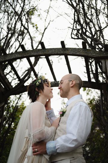 Olivia Ness Photography