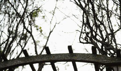 Olivia Ness Photography