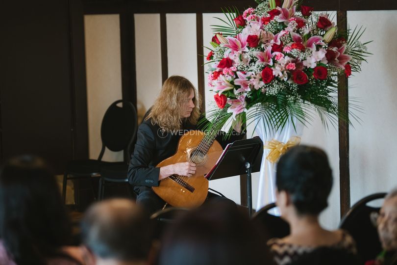 Mitch Zorich - Musician