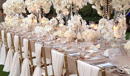 Blush Wedding Rentals