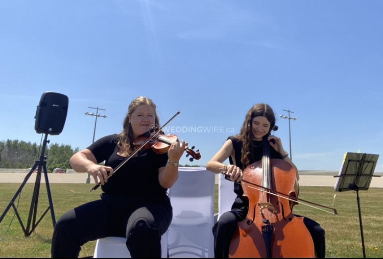 Spiccata Strings