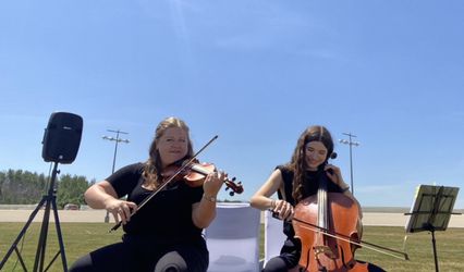 Spiccata Strings
