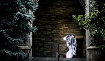 Stephen Franklin Cinematography