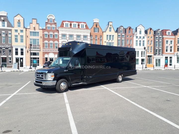 Lynx Limousine and Transport LTD