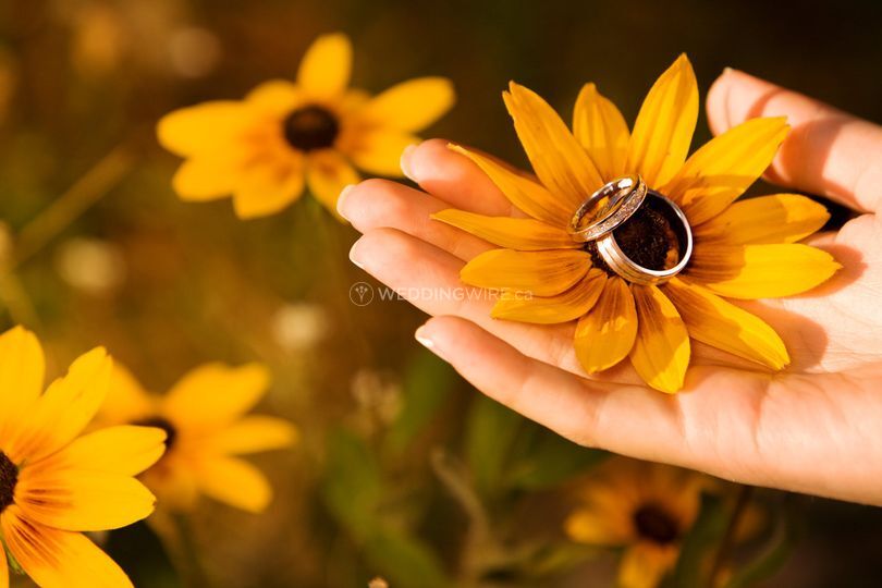 Couvrette Photography