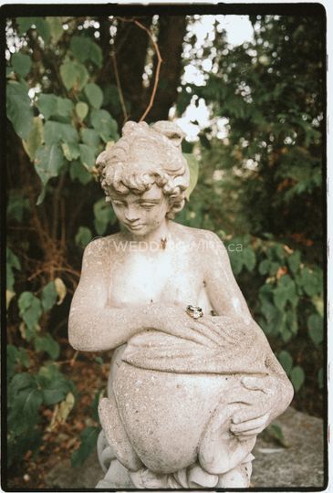 Victoria Pietsch Photography