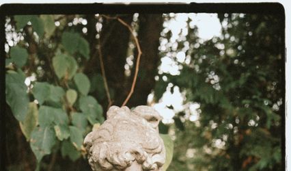 Victoria Pietsch Photography