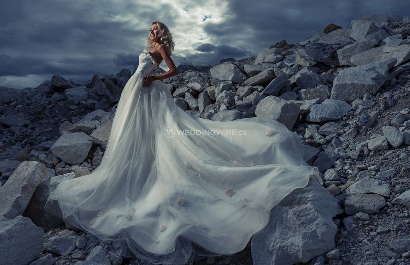 Mark Cooper Photography