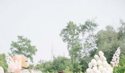 MC Hollie Events & Weddings