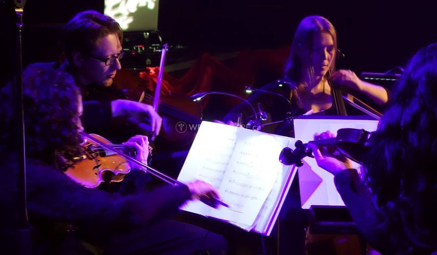Syrinx String Quartet