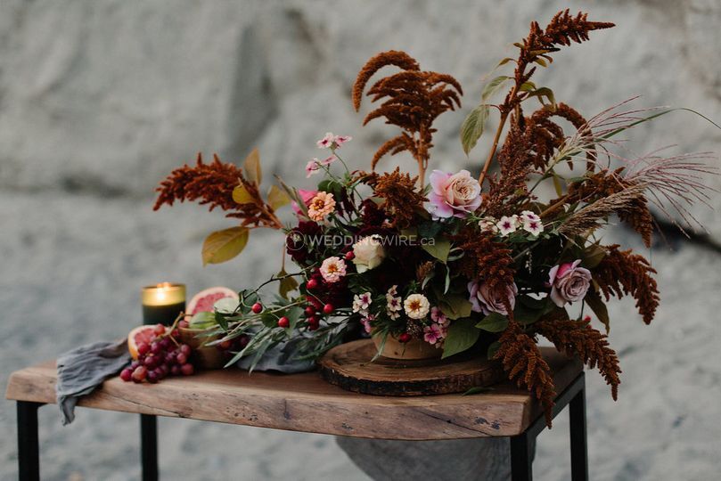 Wild North Flowers