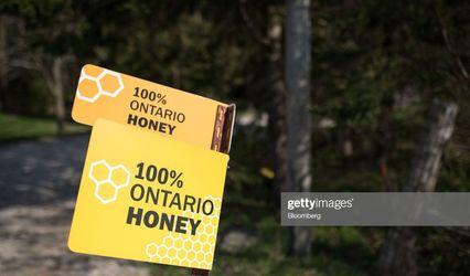 Pioneer Brand Honey