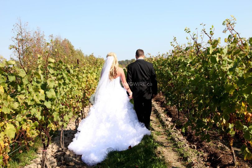 Coopers Hawk Vineyards