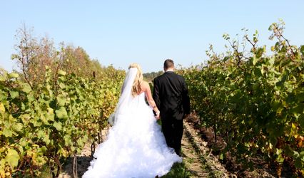 Coopers Hawk Vineyards