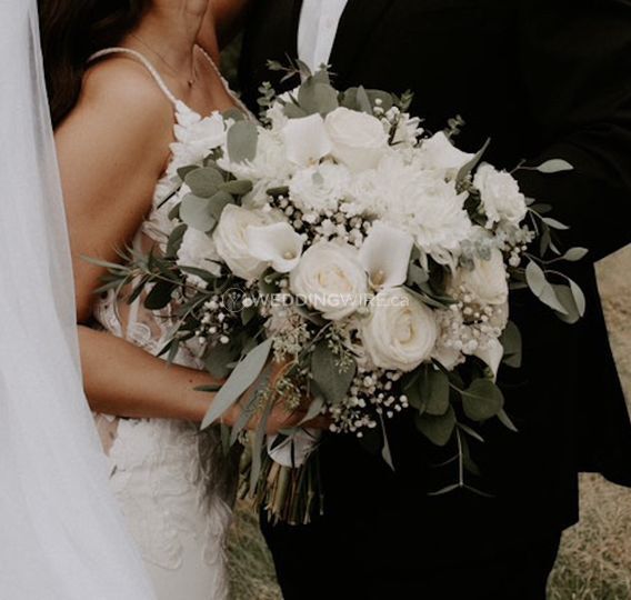 Mountain Daisy Florals