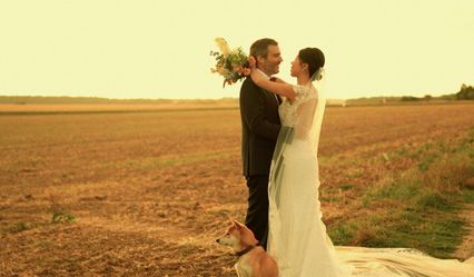 BELLINIZIO Films