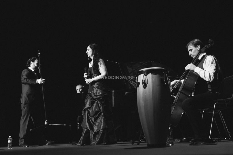 Elisa Malatesta Entertainment