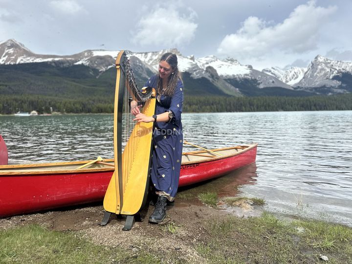 Wild Harpist