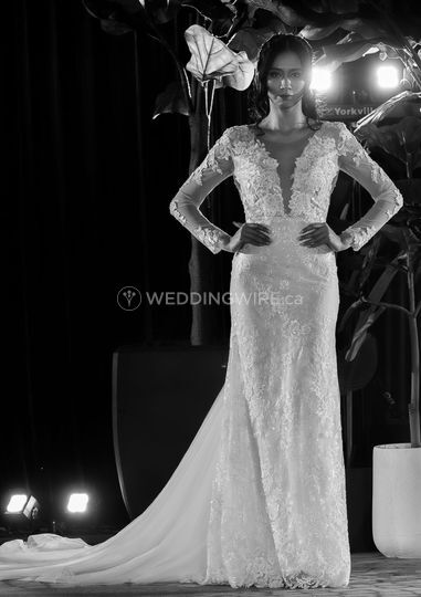 Catalina Del Ange Designs