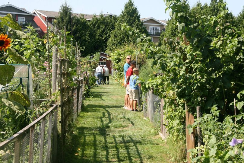 London Heritage Farm
