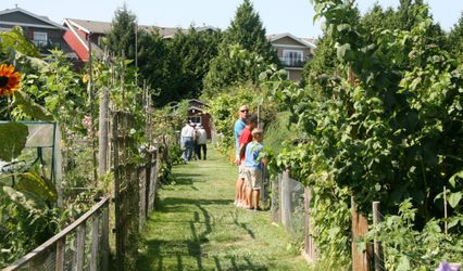 London Heritage Farm