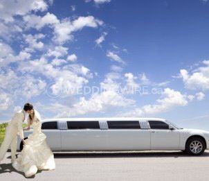 Platinum Limos