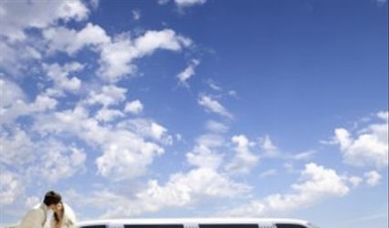 Platinum Limos
