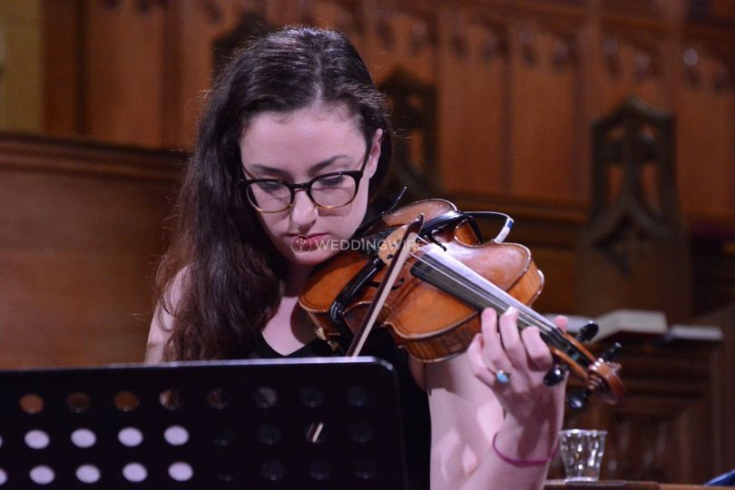 Katie Stewart Violin