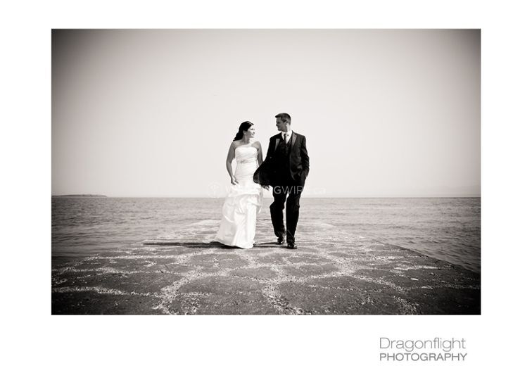 Dragonflight Photography