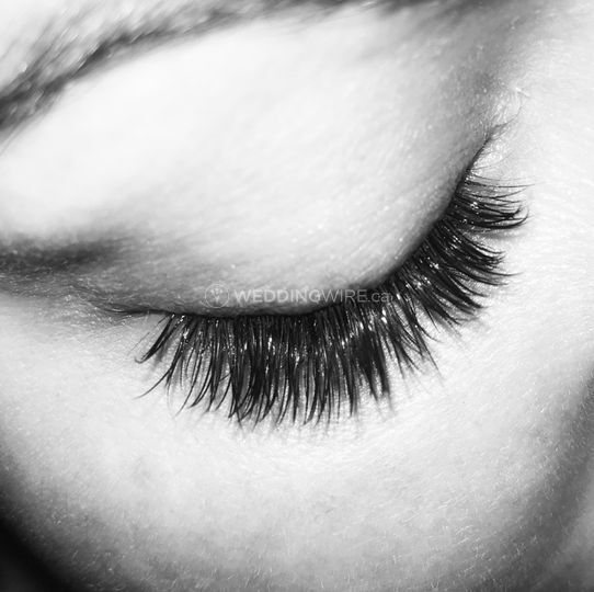Lash Dash Mobile Beauty