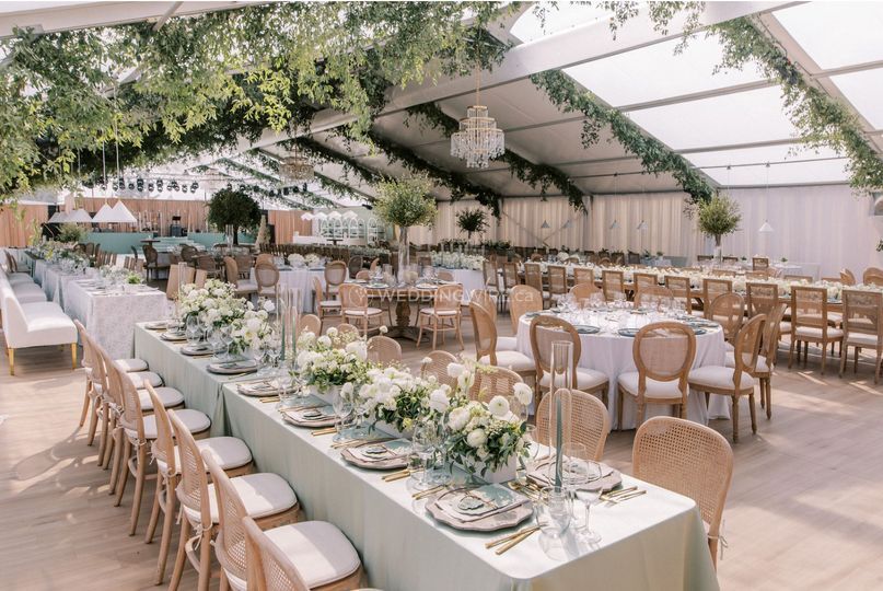 Jennifer Bergman Weddings