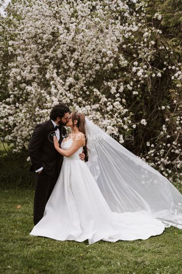 Galaxy Weddings