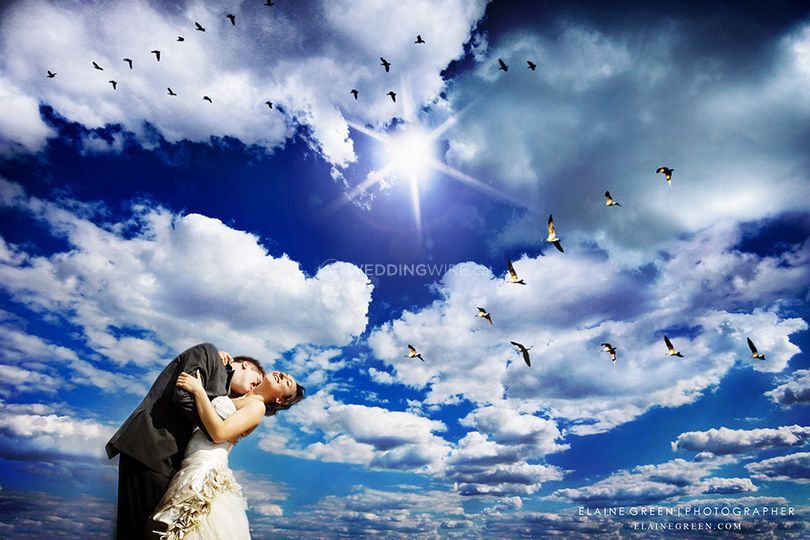 Elaine Green Photographer